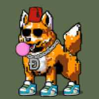 DogePunks #2004