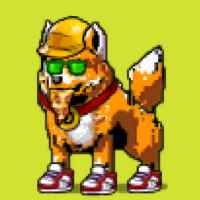 DogePunks #1347