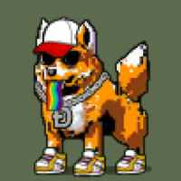 DogePunks #1500