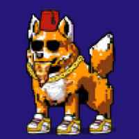 DogePunks #1862