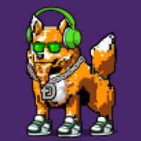 DogePunks #1617