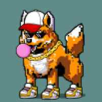 DogePunks #4252