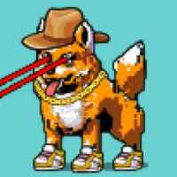 DogePunks #4063