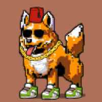 DogePunks #3251