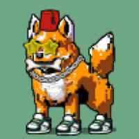 DogePunks #2670