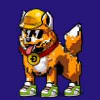 DogePunks #2255