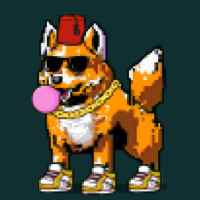 DogePunks #4807
