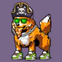 DogePunks #1761