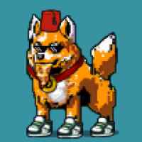 DogePunks #814