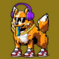 DogePunks #613