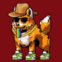 DogePunks #3493