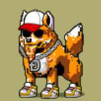 DogePunks #996