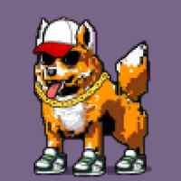 DogePunks #1547