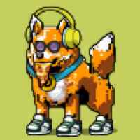 DogePunks #4903