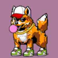 DogePunks #3355