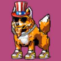 DogePunks #3277