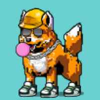 DogePunks #4451