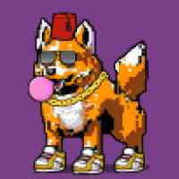 DogePunks #4554