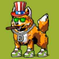 DogePunks #3460