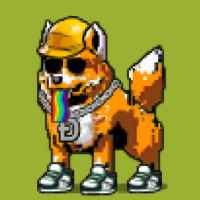 DogePunks #2995