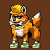 DogePunks #4991