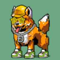 DogePunks #4795