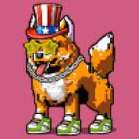 DogePunks #932