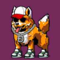 DogePunks #276