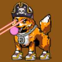 DogePunks #1634