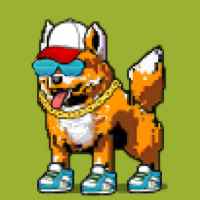 DogePunks #333