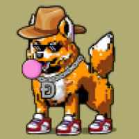 DogePunks #4018