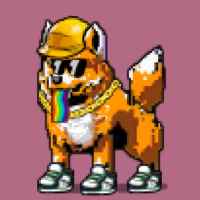 DogePunks #1652