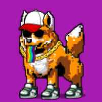 DogePunks #862
