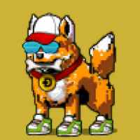DogePunks #1527