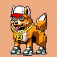 DogePunks #300