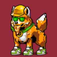 DogePunks #722