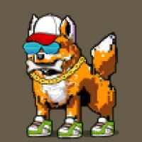 DogePunks #2252