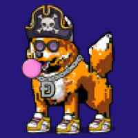 DogePunks #606