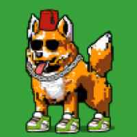 DogePunks #4581