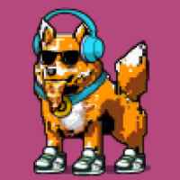 DogePunks #4658