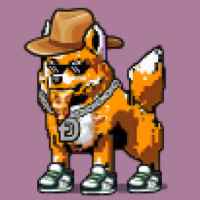 DogePunks #2197