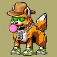 DogePunks #1078