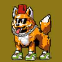 DogePunks #4996