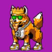 DogePunks #1312
