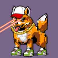 DogePunks #4655