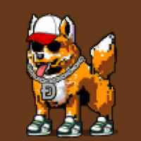 DogePunks #779