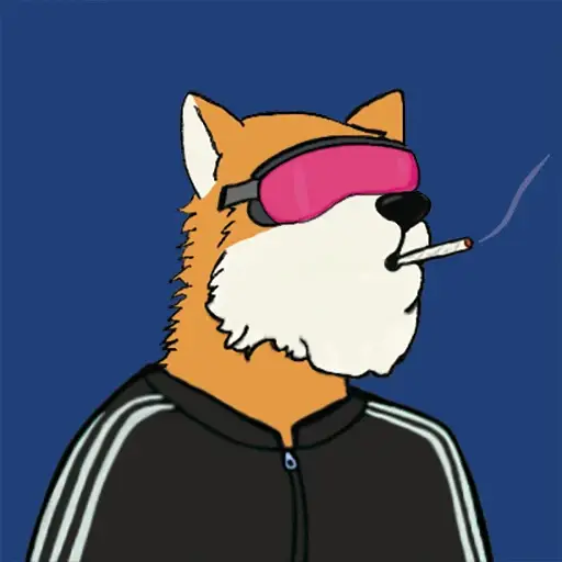 F*ck It We Bark #4975