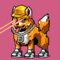 DogePunks #1397