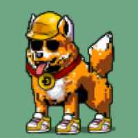 DogePunks #655