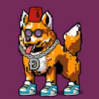 DogePunks #396